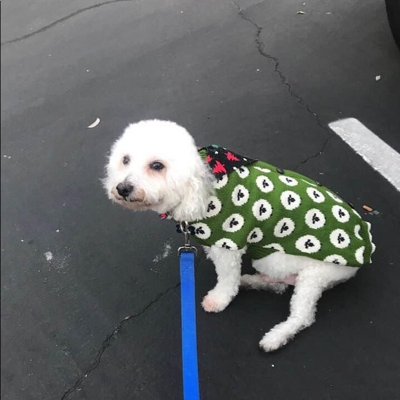 Meet your Posher, Barbara - Picture 2 of 2